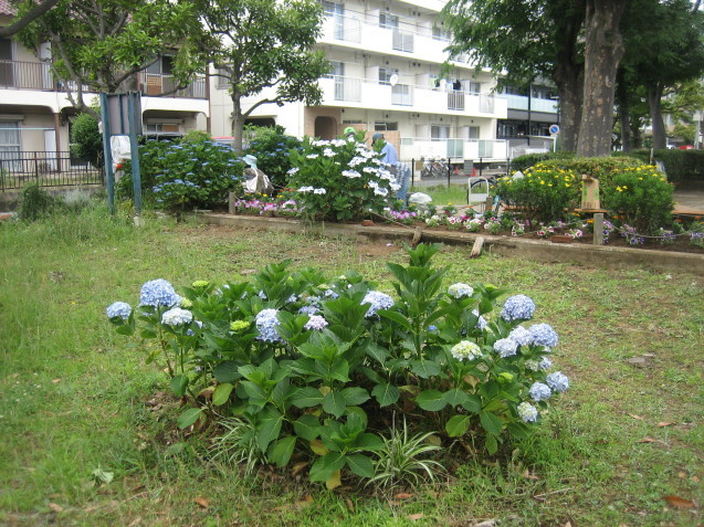 b0014392_13005510.jpg