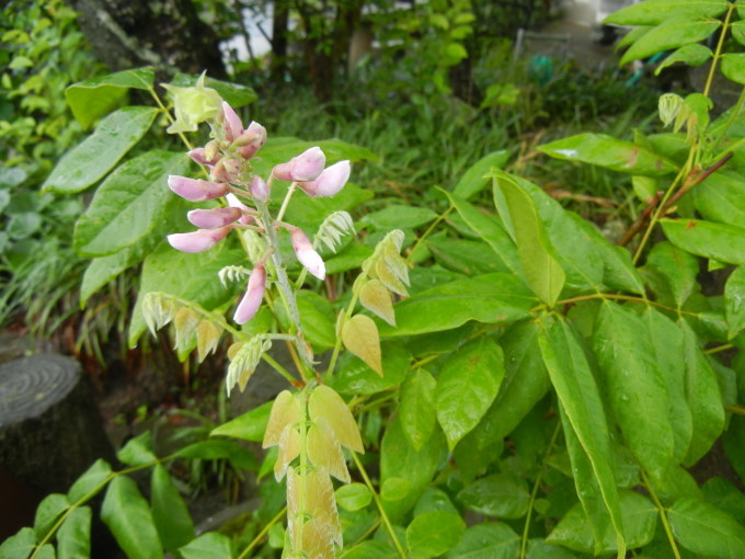 c0361298_21024654.jpg