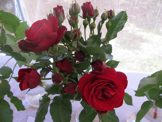 a0204799_06401563.jpg