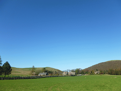 c0072816_12335919.gif