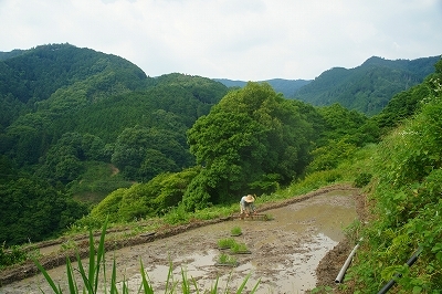 a0160619_20540239.jpg