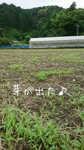 b0187620_20362345.jpg