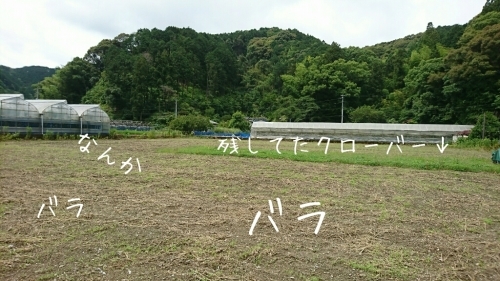b0187620_20363911.jpg