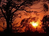 e0352820_16055030.jpg