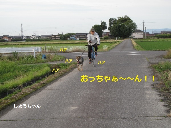 f0143123_10330480.jpg