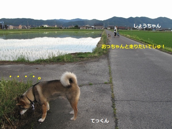 f0143123_10331317.jpg
