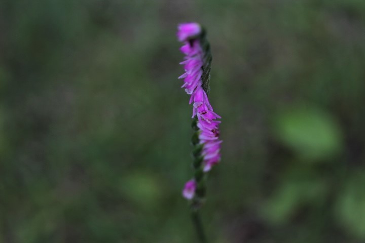 f0354923_09003850.jpg