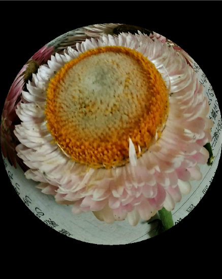 f0354923_21582244.jpg