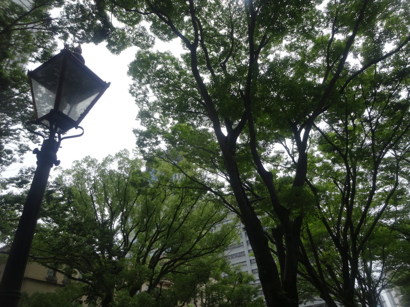c0157824_2333619.jpg