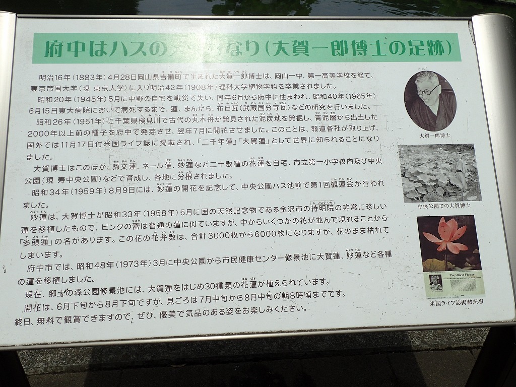 a0209630_19382136.jpg