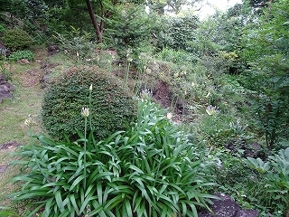 c0147935_20130635.jpg