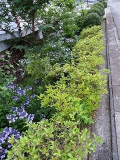 c0147935_20184154.jpg