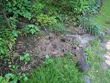 c0147935_20193608.jpg
