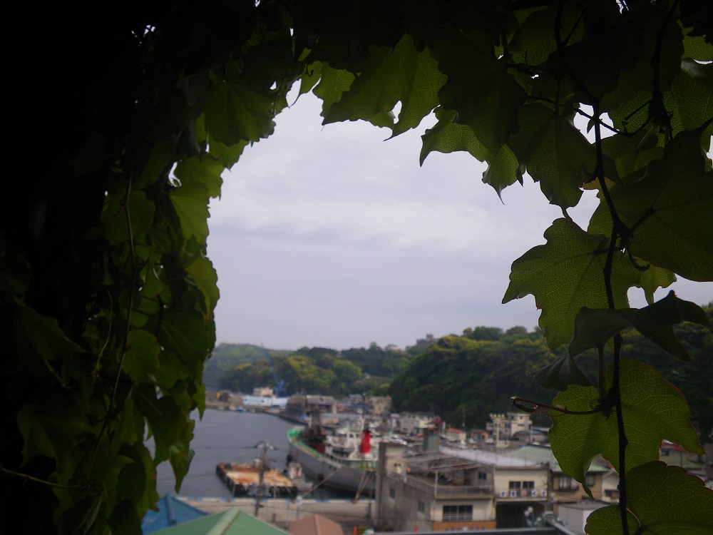 c0033636_6283420.jpg