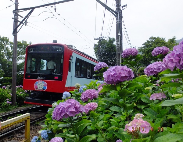 b0369040_16155316.jpg