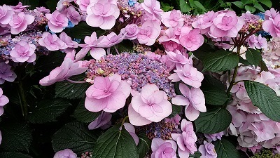 b0369040_16161797.jpg