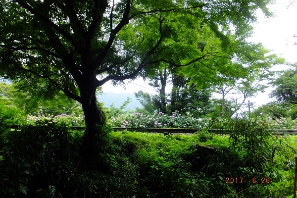 b0369040_16165576.jpg