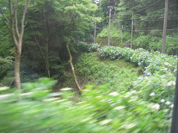 b0369040_16172696.jpg