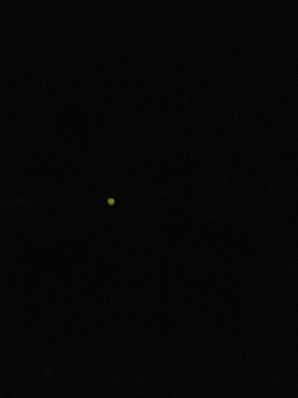f0032042_20342995.jpg