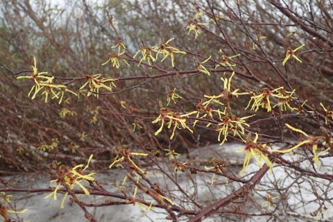 b0189948_21563789.jpg