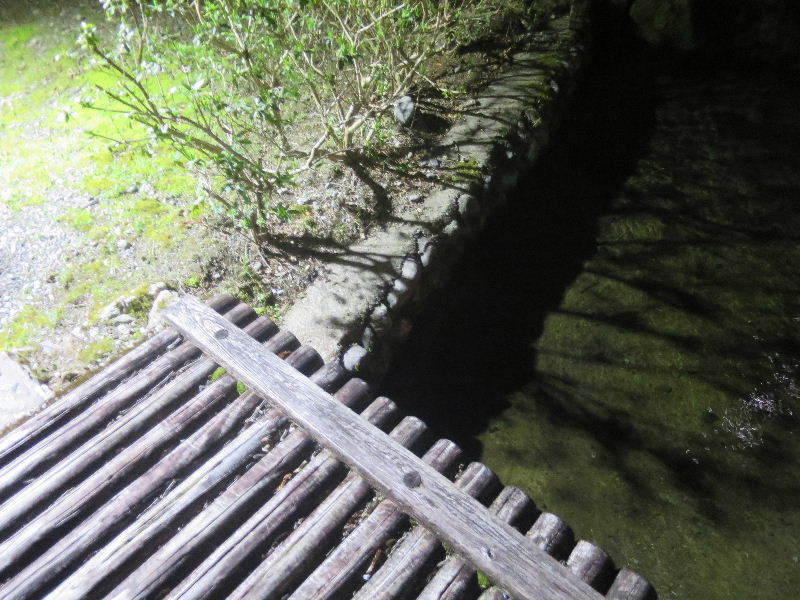 c0011649_12022221.jpg