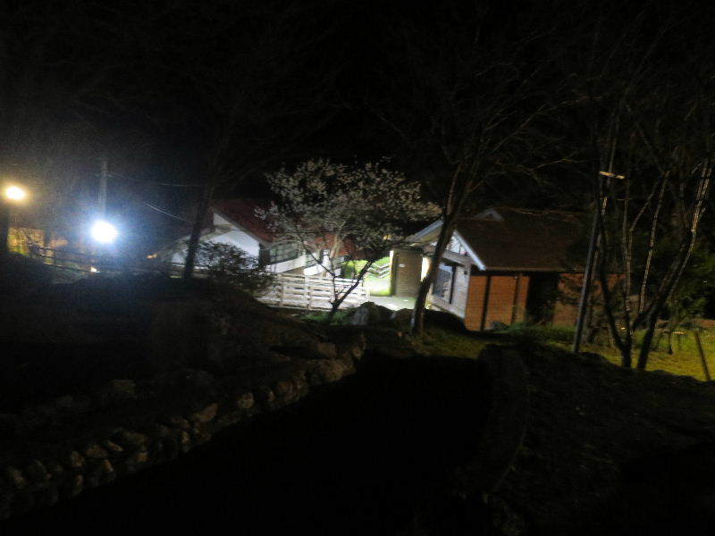 c0011649_13351061.jpg