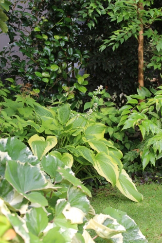b0246758_14211800.jpg