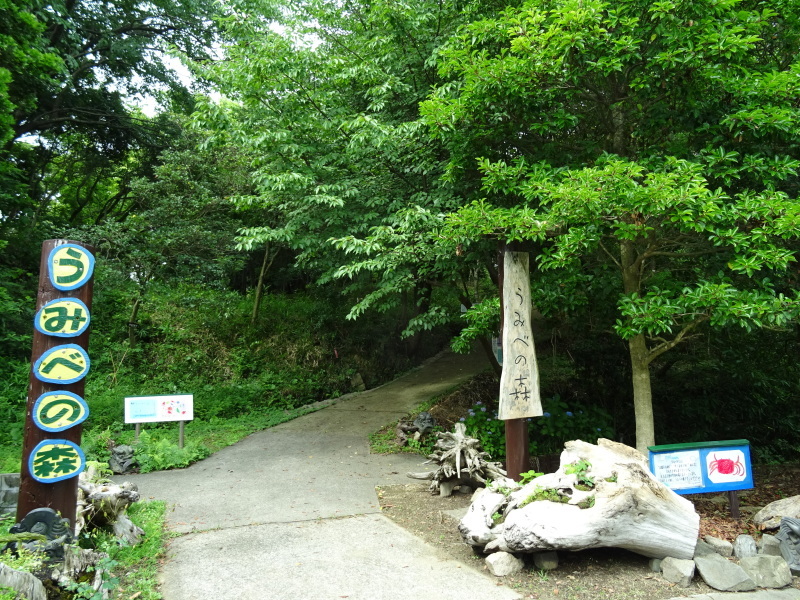c0108460_20585930.jpg