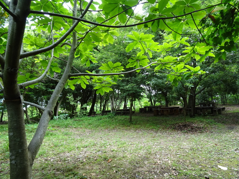c0108460_21032382.jpg