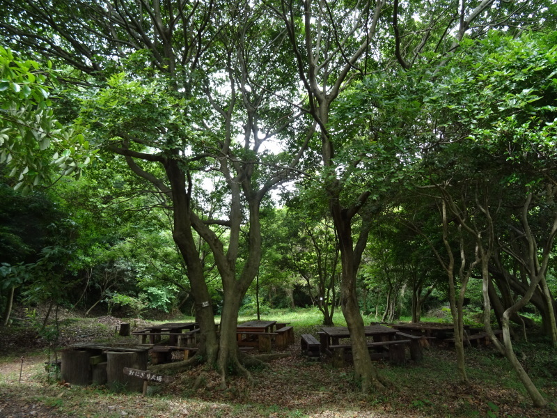 c0108460_21032640.jpg