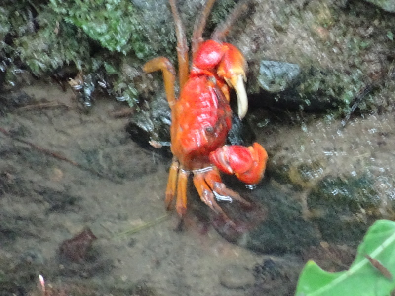 c0108460_21035760.jpg