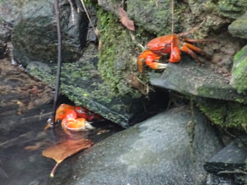 c0108460_21040218.jpg