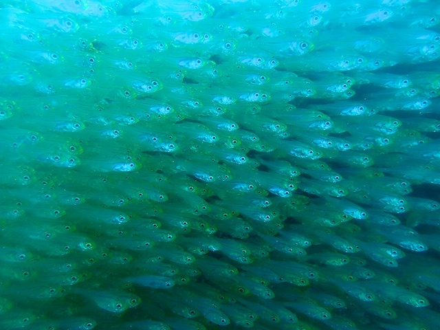 b0062363_17503491.jpg