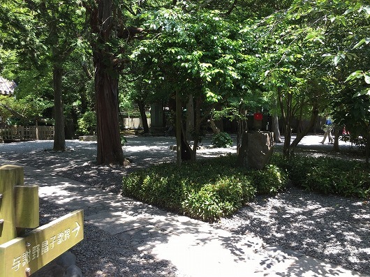b0145863_00141885.jpg