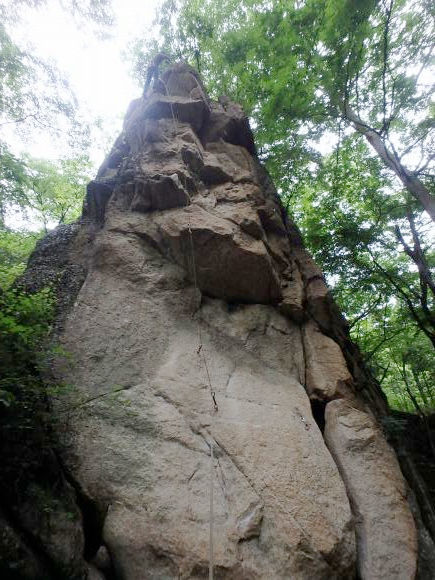 b0050067_00000712.jpg