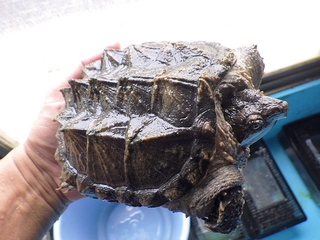 c0105569_00554634.jpg
