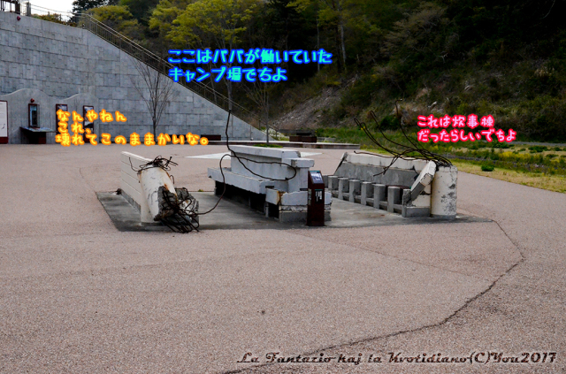 a0004070_11331342.jpg