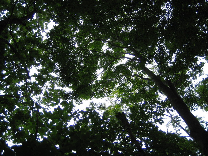 c0217771_15432187.jpg