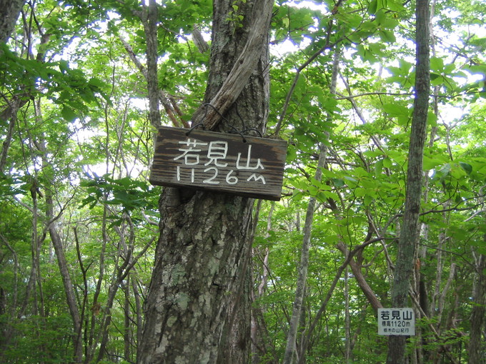 c0217771_15441234.jpg