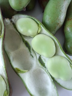 f0112873_23201916.jpg