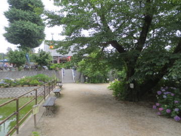 c0337875_21445313.jpg