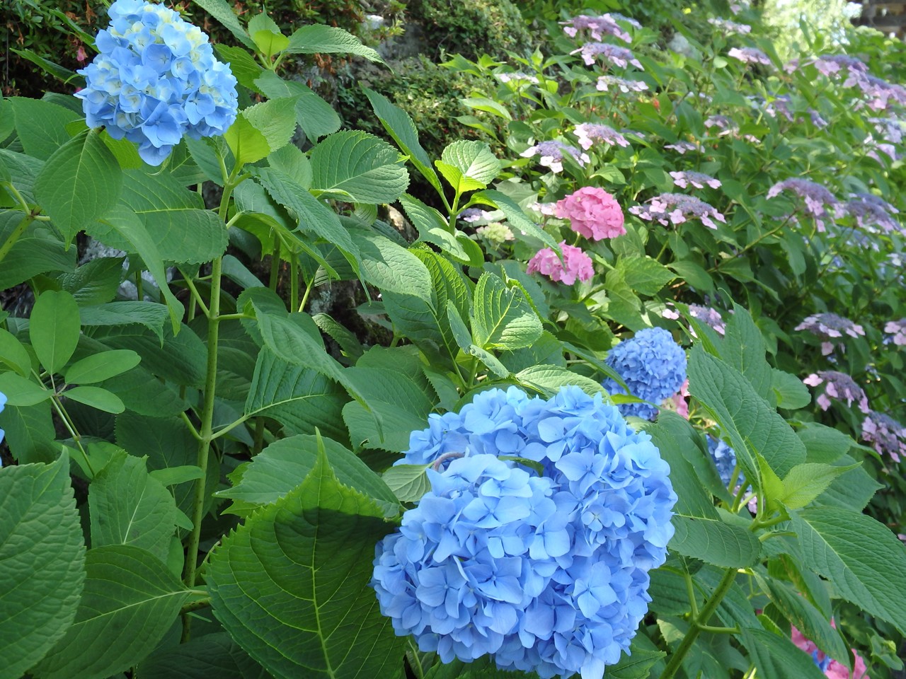 d0054276_20203211.jpg