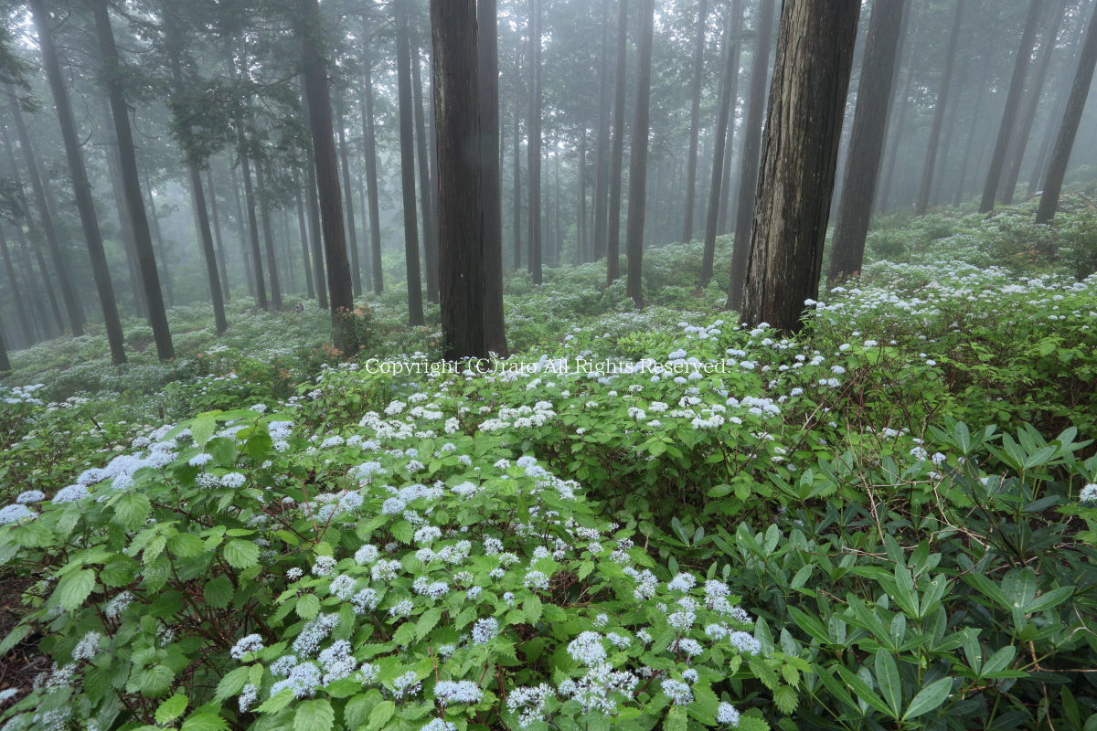 f0236776_20493573.jpg