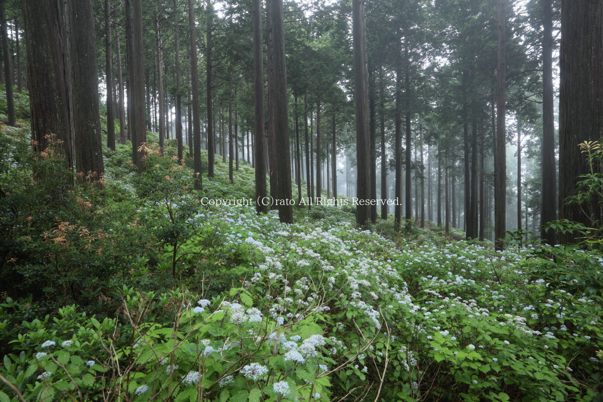 f0236776_20495059.jpg