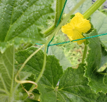a0234877_10072341.jpg