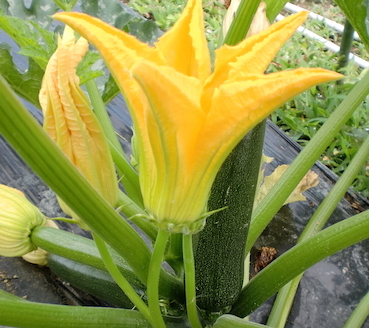 a0234877_10074547.jpg