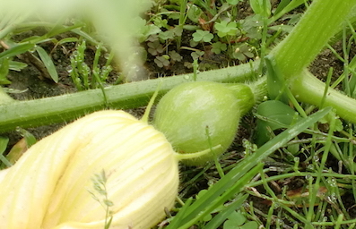a0234877_10081406.jpg