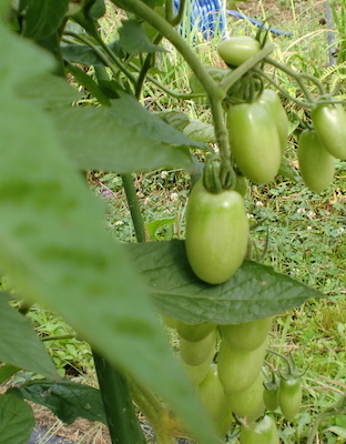 a0234877_10083139.jpg