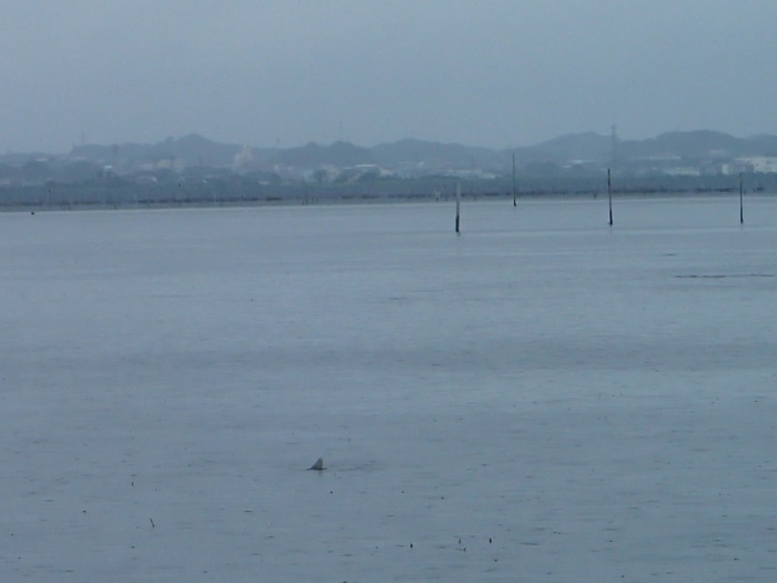 c0197578_09572460.jpg