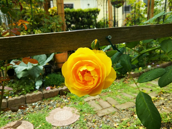 f0366679_2322447.jpg